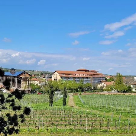 Ihr Bett Mit Blick Auf Die Weinberge Bad Duerkheim Exterior photo