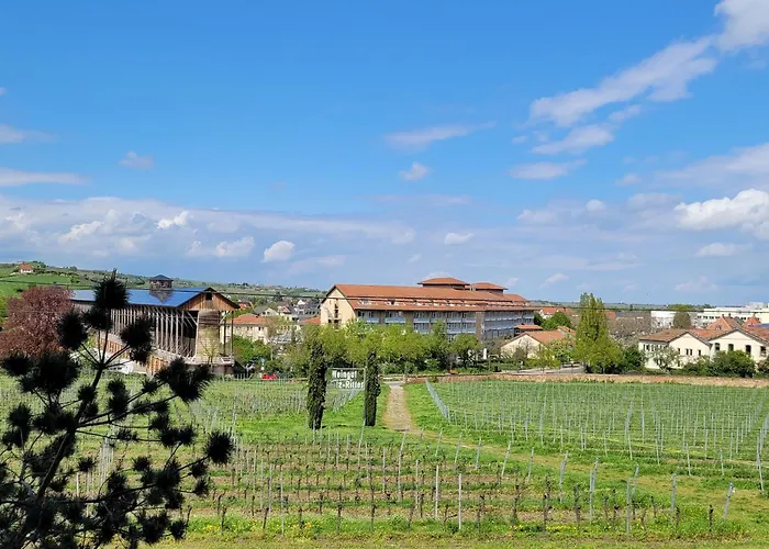 Ihr Bett Mit Blick Auf Die Weinberge