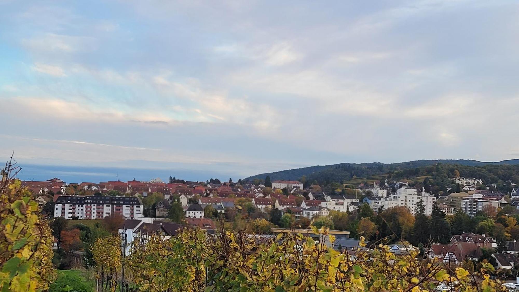 Ihr Bett Mit Blick Auf Weinberge *