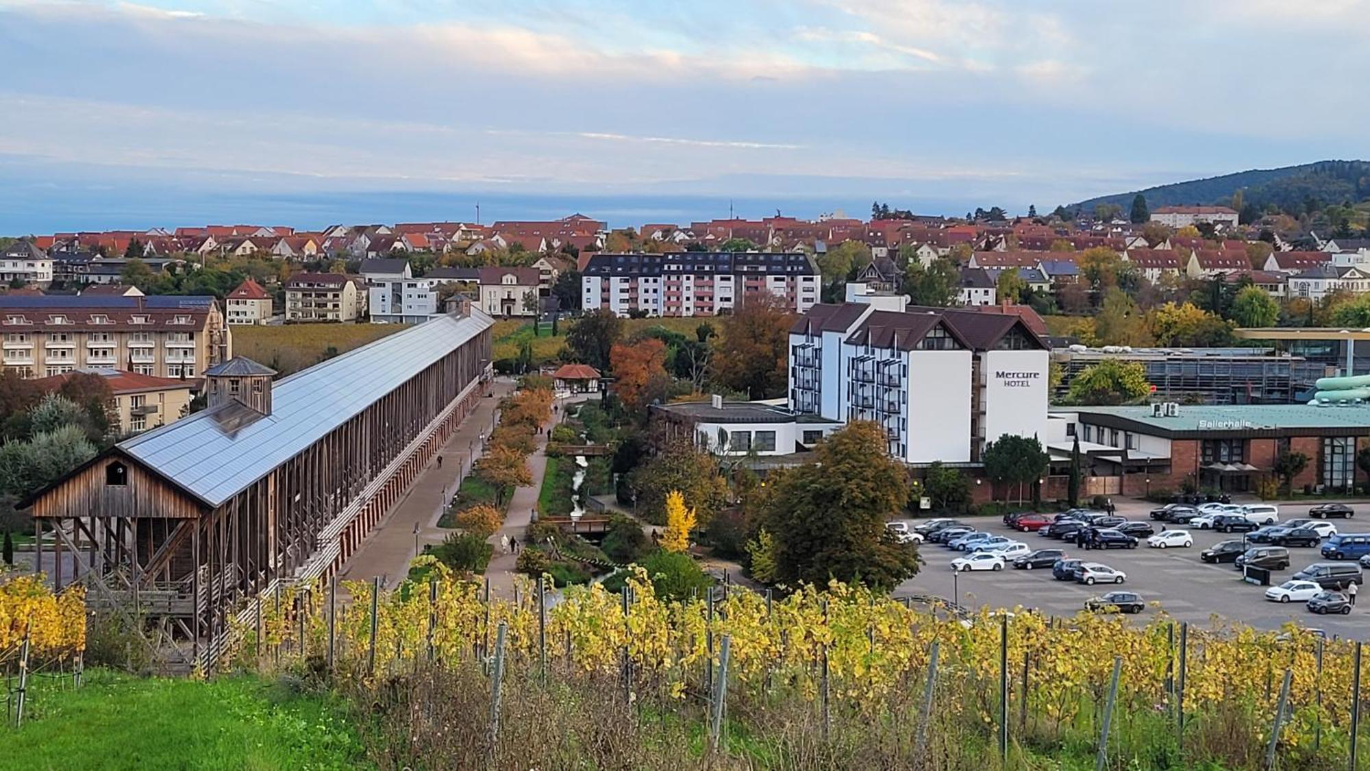 Ihr Bett Mit Blick Auf Weinberge * Bad Duerkheim
